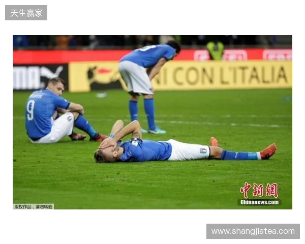 再次无缘世界杯,意大利足协明日召集各方开大会